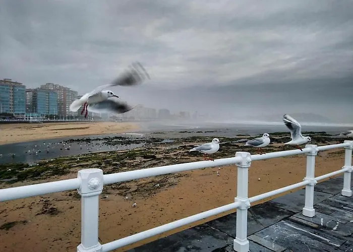 Albor Ii בית הארחה גיחון