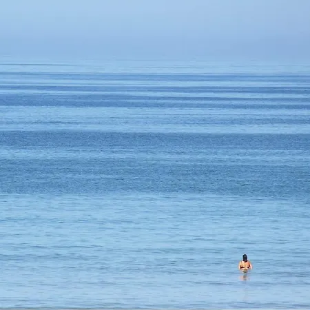 Albor II Gijon