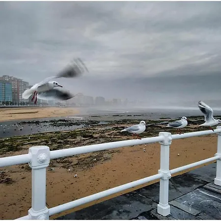 Albor Ii Pensjonat Gijón